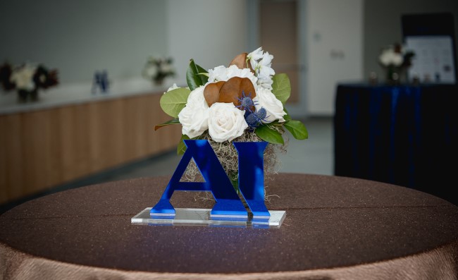 "Stars At Night" Gala "Stars At Night" Gala